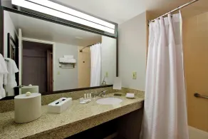 Courtyard by Marriott Lyndhurst/Meadowlands - Salle de bain