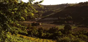 Panoramic Villa Garassino - country rooms and fine restaurant - Ausblick vom Zimmer