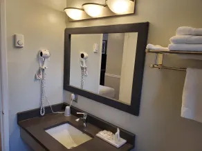 Alpine Inn Abbotsford - Salle de bain