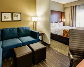 Comfort Suites Georgetown - Chambre