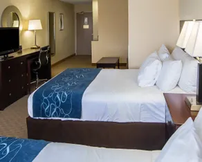 Comfort Suites University Area Notre Dame-South Bend - Camera