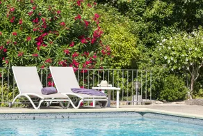 Le Pré du Moulin - Maison Alonso - Hôtel & Restaurant - Pool