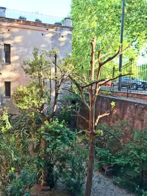 Secret Rhome - Vue de la chambre