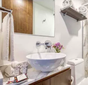 Polanco Luxury and Style - Bathroom