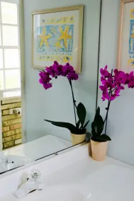 Sea Turtle Inn - Salle de bain