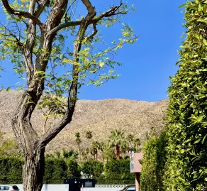 Old Ranch Inn - Adults Only  - Vue de la chambre