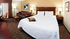 Hampton Inn Littleton - Zimmer