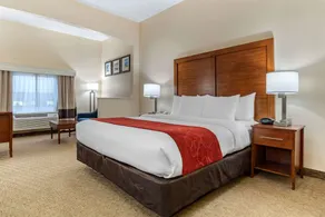 Comfort Suites Jacksonville Airport - Room