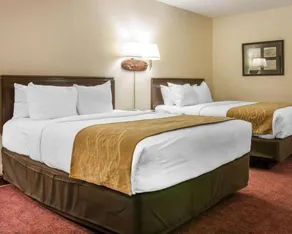 Canberra Premiere Comfort Hotel - Room
