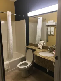 Microtel Inn & Suites by Wyndham Columbus Near Fort Benning - Badeværelse