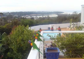 Kingfisher Motel (Adults only) - View from room