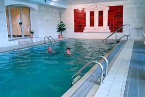 Hotel Südpfalz-Terrassen - Pool