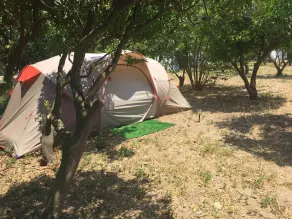 Bodrum Masali Camping - Hostel - Room