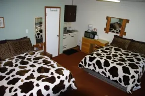 Wolseley Motel - Room