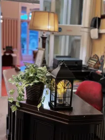 The Robin Hill - Reception