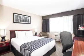 Sandman Inn Smithers - Room