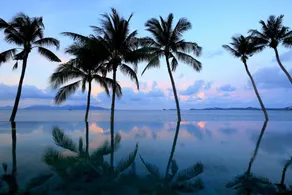Celes Samui - Piscine