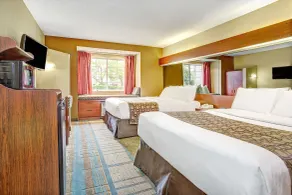Microtel Inn & Suites by Wyndham Mason - Chambre
