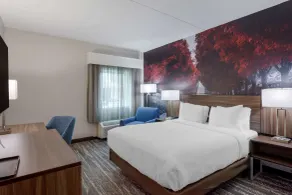 Clarion Pointe Charlottesville - Chambre