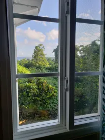 Viva Violas - View from room