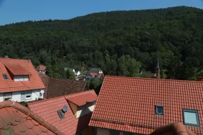 Ferienwohnungen Ries - View from room