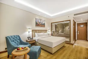 Golden Tulip Jalandhar - Room