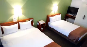 Tokyo Plaza Hotel - Chambre