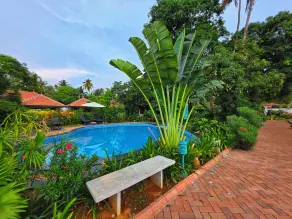 Vedic Village Retreat Kodungallur - Pool