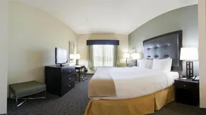 Holiday Inn Express Hotel & Suites Waycross by IHG - Rom