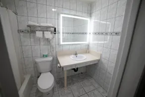 Artesia Motor Inn - Salle de bain