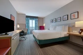 Hilton Garden Inn Tampa Northwest/Oldsmar - Chambre
