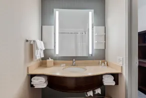 Hilton Garden Inn New Orleans French Quarter/CBD - Salle de bain