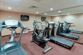 Holiday Inn Express & Suites Ashtabula-Geneva by IHG - Salle de remise en forme