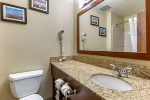 Comfort Inn & Suites Alameda at Albuquerque Balloon Fiesta Park - Salle de bain