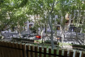 Nivia Born Boutique Hotel - Vue de la chambre