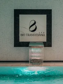 Mandachi Hotel & SPA - Pool