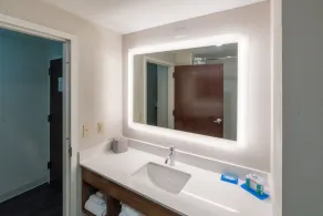 Holiday Inn Express Hotel & Suites Nashville Brentwood 65S - Banheiro