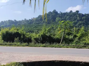 Pano Eco Resort - Vue sur la rue