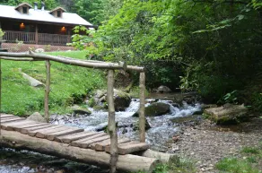 Panther Creek Cabins - Udsigt fra værelset