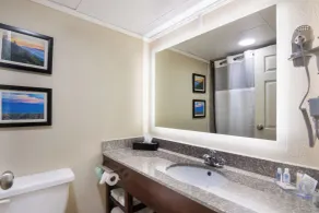 Comfort Inn Kings Mountain - Salle de bain