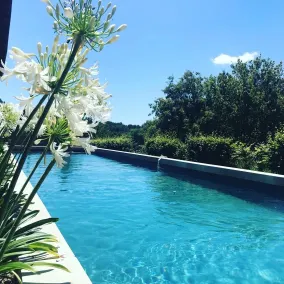Gite des Ecuries d'Hodebert - Piscine extérieure