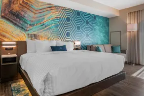Cambria Hotel St Petersburg-Madeira Beach Marina - Chambre