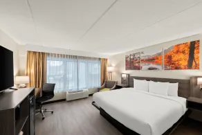 Clarion Pointe Rhinelander Downtown - Chambre