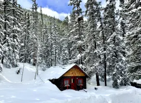 Pioneer Guest Cabins - Chambre
