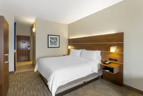 Holiday Inn Express Hotel & Suites Harrison by IHG - Room