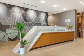 SpringHill Suites Charlotte Southwest - Réception