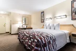 Red Roof Inn Cleveland Airport - Middleburg Heights - Chambre