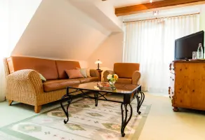 Ambient Hotel am Europakanal - Chambre