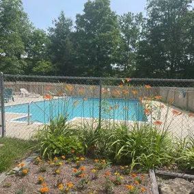 Laurel Creek Campground - Pool