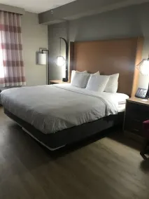 La Quinta by Wyndham Chattanooga-Hamilton Place - Chambre